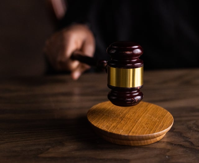 Two in court on cruelty charges to horses