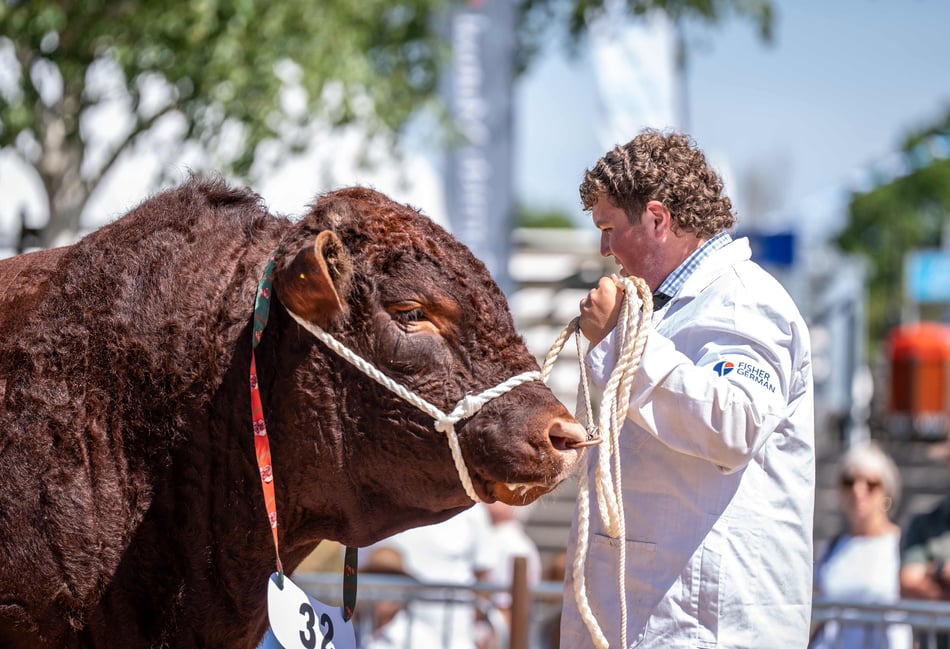 Devon Cattle Breeders Society to return to Devon County Show in 2026