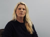 'Unforgivable' driver fails to report  Dartmoor pony collision