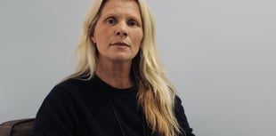 Driver slammed as unforgivable after pony collision