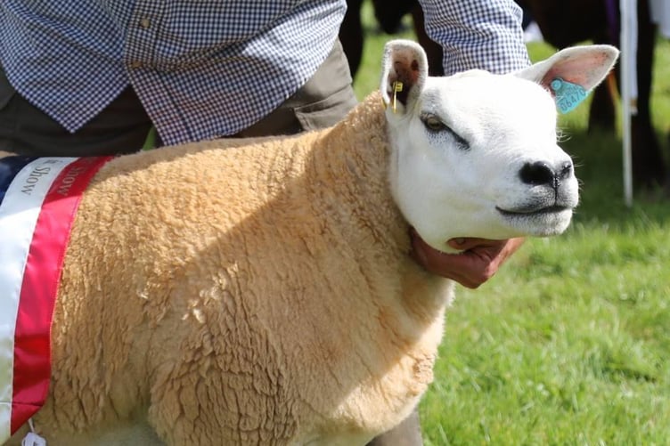 okehampton show