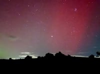 Stunning images in focus by Dartmoor photographers