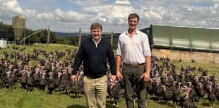 Mel Stride MP: I will continue to stand up for farmers