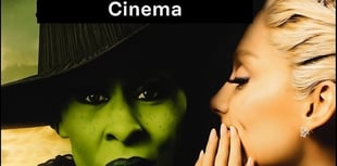 Free open cinema tops Crediton festival bill
