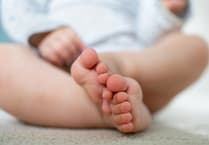 Emily and Harry most popular baby names in Torridge