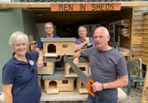 W Devon hedgehog rescuer thanks Tavistock woodworkers for prickly help