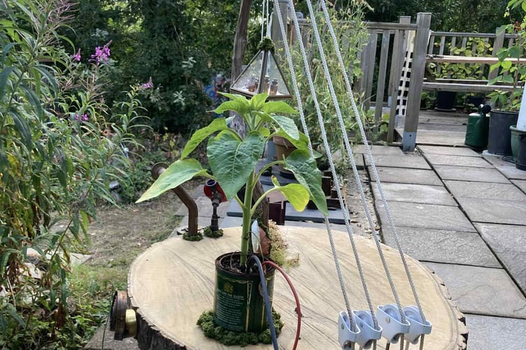 The exhibition at Blauhuis in The Butts, Calstock will take place during the month of August with an open afternoon on Saturday August 2 from 2pm to 4pm. (Picture: Barry Kirkham)