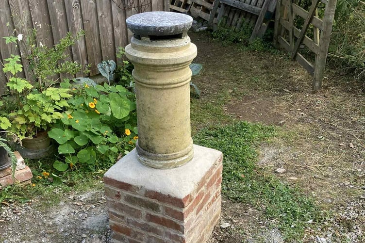 Barry and Nellie are hosting a month-long Sculpture Garden at Calstock with all donations and proceeds going to St Luke's Hospice. (Picture: Barry Kirkham)