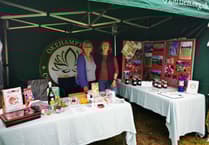 Okehampton Rotary Fair duck races and entertainment draw hundreds