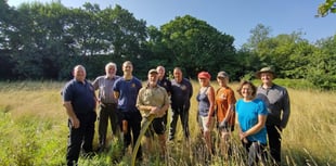 Green burial meadow cut for hay the traditional way