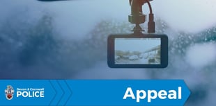 Police launch appeal for witnesses to two-vehicle A386 crash