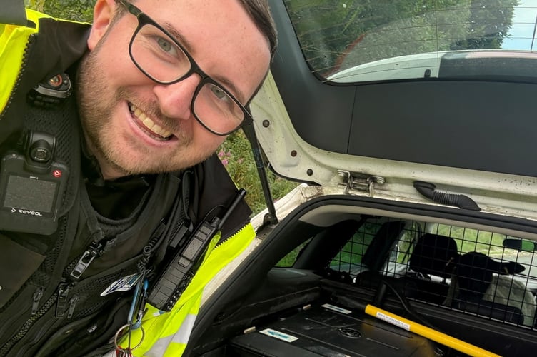 The sheep behind Baa's.