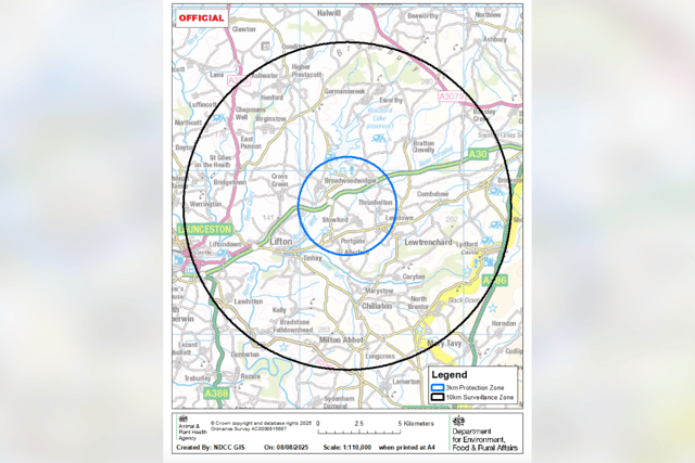 Avian flu warning issued in West Devon and North Cornwall 