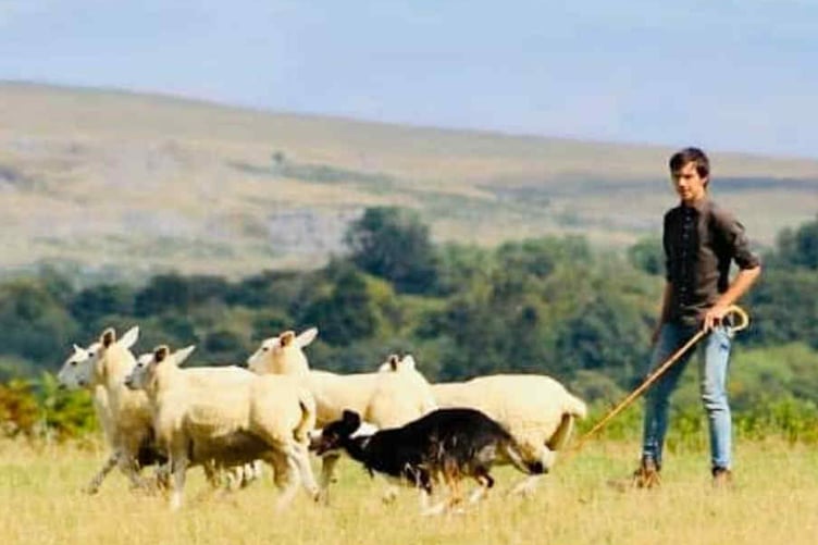 More than 50 skilled sheep dogs and handlers are expected at the Whitchurch and Sampford Spiney Sheep Dog Trials which includes a family fun day on Saturday, August 23, 10am-5pm, near Moortown on Whitchurch Down.