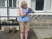 Hedgehog lover thanks animal rescue group