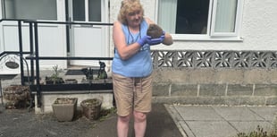Hedgehog lover thanks animal rescue group
