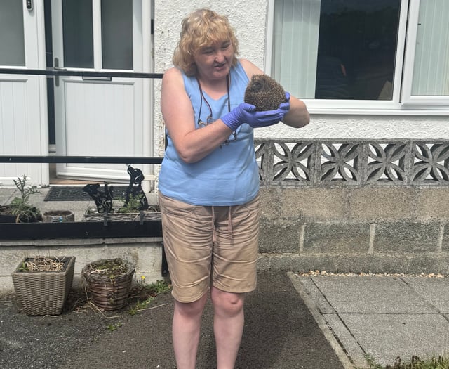 Hedgehog lover thanks animal rescue group