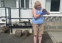 Tavistock hedgehog lover thanks animal rescue group