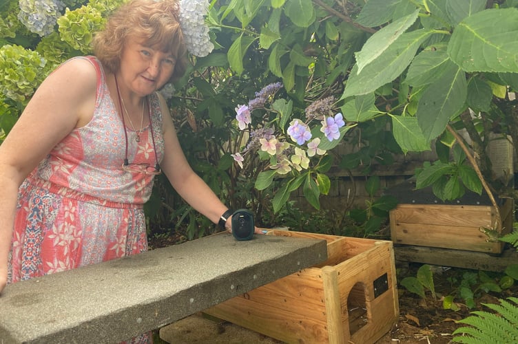 Hedgehog lover Helen Burridge with her feeding and nesting boxes in her garden which attract a lot attention from local her prickly friends.