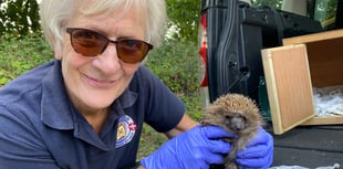 Singalong for a prickly problem