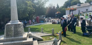 Tavistock remembers at VJ event 
