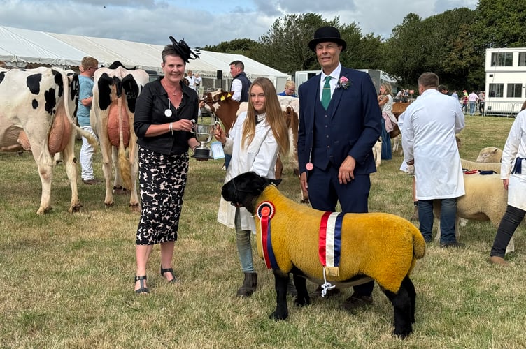 The Sheep Show Champion at Okehampton Show. AQ 0215