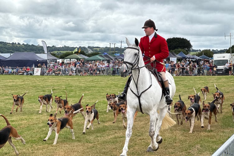 A local hunt during a parade around the main ring at Okehampton Show. AQ 0041