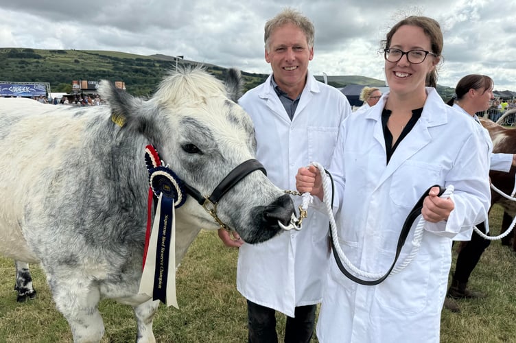 Reserve Beef Champion was Highland Blues Spruce, a British Blue heifer bred and exhibited by Andrew Luxton of Okehampton. AQ 0176
