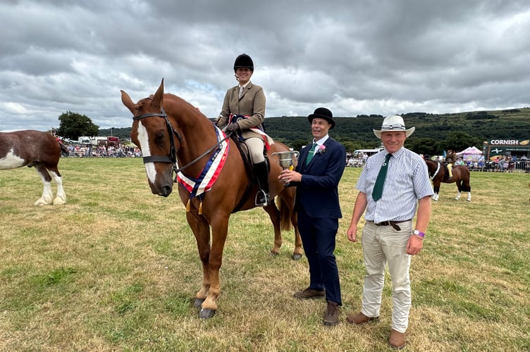 Rebecca White of Broadwoodwidger received the Champion Horse award with Royal Rambo, an Irish Draught from President Roger Cunningham and judge Philip Heard. AQ 0138