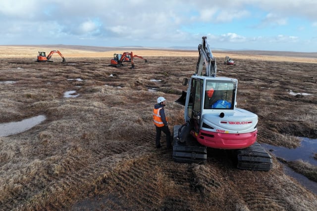 Degraded peatland on Dartmoor set to be restored