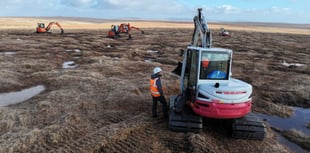 Degraded peatland on Dartmoor set to be restored