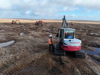 Degraded peatland on Dartmoor set to be restored
