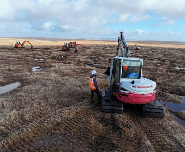 Degraded peatland on Dartmoor set to be restored