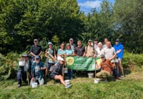 Moor Trees gets £50k for Dartmoor woodlands