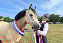 ‘Bumper crowd’ attended ‘wonderful’ Chagford Show