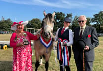 No sheep or cattle at this year's Chagford Show