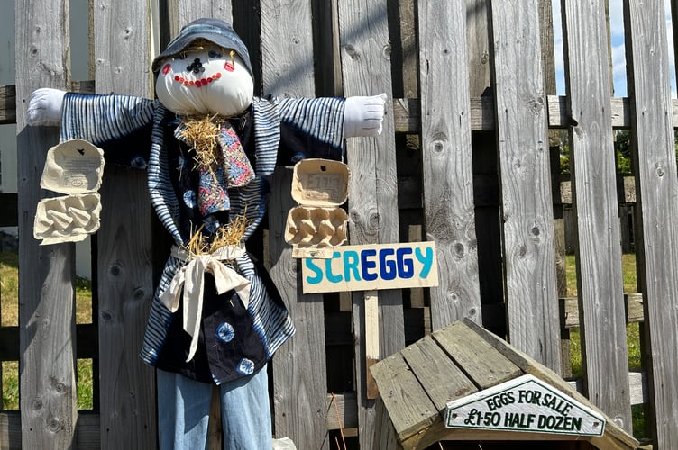 Screggy is by the eggs for sale stand. St Ann's Chapel scarecrow trail