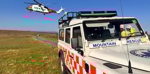 Overnight search for missing hiker