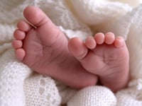 Fertility rate falls in Torridge – as it reaches new record low in England and Wales