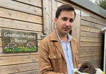 Hedgehog lover walks for West Devon sanctuary