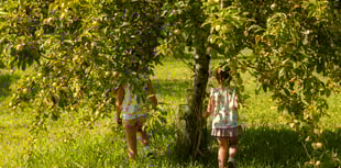 Cotehele Apple Weekender promises bumper crop ripe for picking