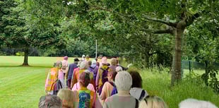  25 years of rambling for health