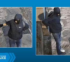 Exeter museum burglary:  new images