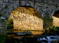 Dartmoor rivers are at risk 