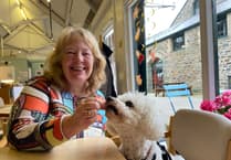 Tavistock 'silver' community living plan