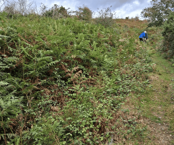Drake's Leat before volunteers cleared the area.