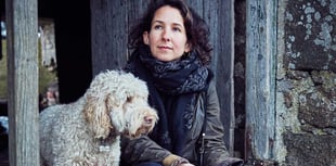 New book focusses on Dartmoor artisans 