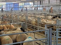 Holsworthy agri-centre project still on track
