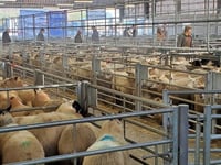 Holsworthy agri-centre project still on track
