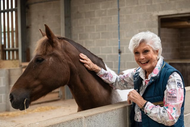 Angela Rippon's advert with Mare and Foal Sanctuary